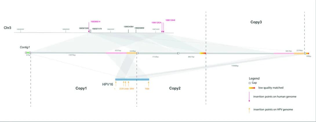 scientific chart