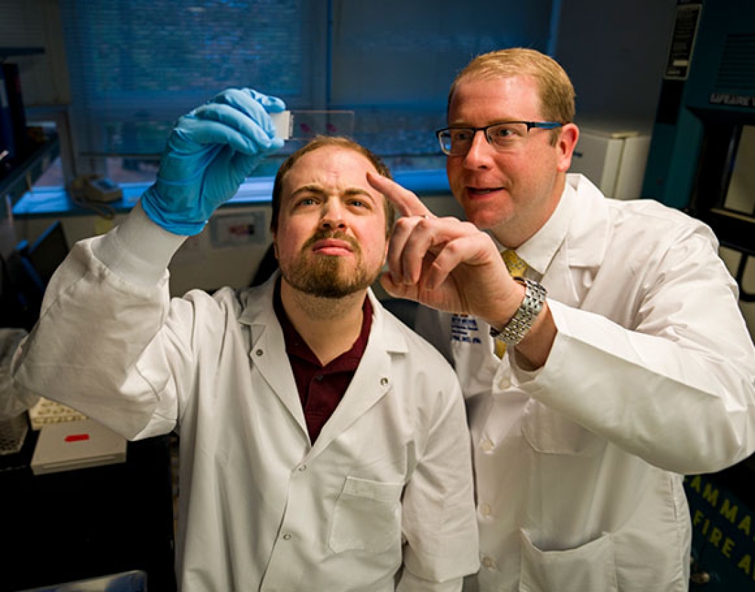 Dr. Daniel Wahl and laboratory assistant look at specimen