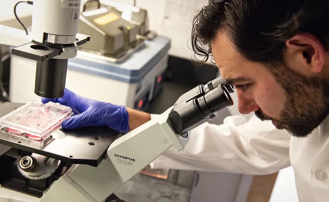 Bearded man uses microscope