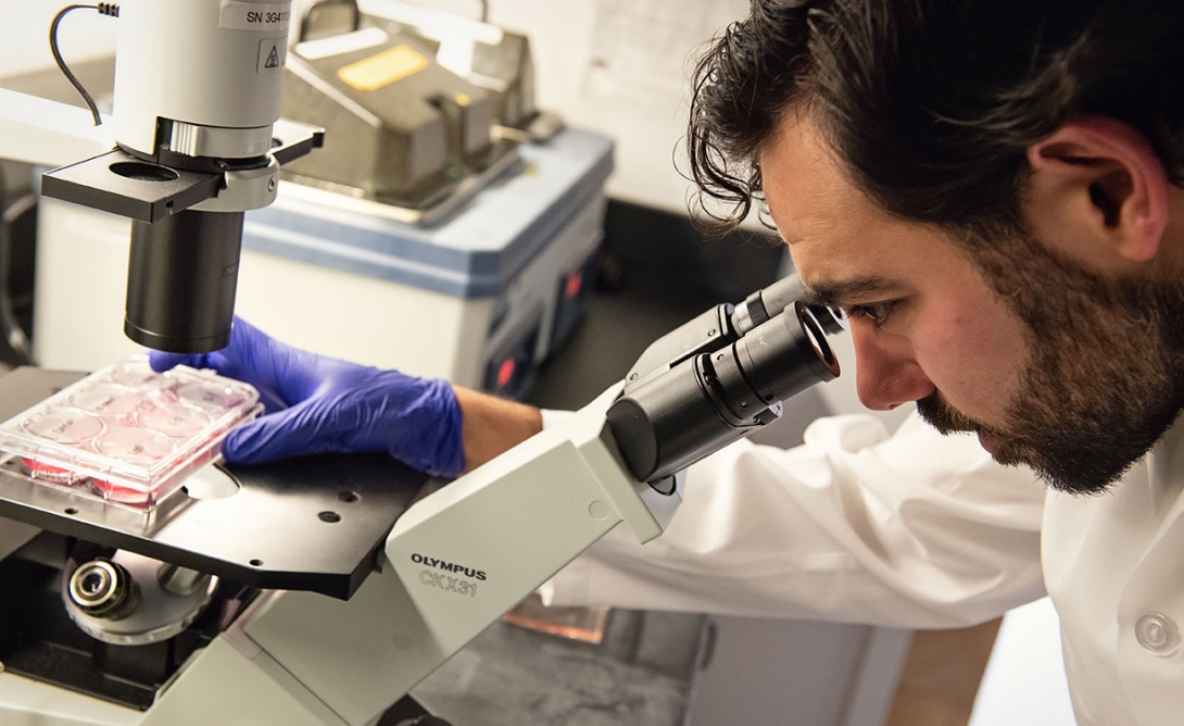 Bearded man uses microscope