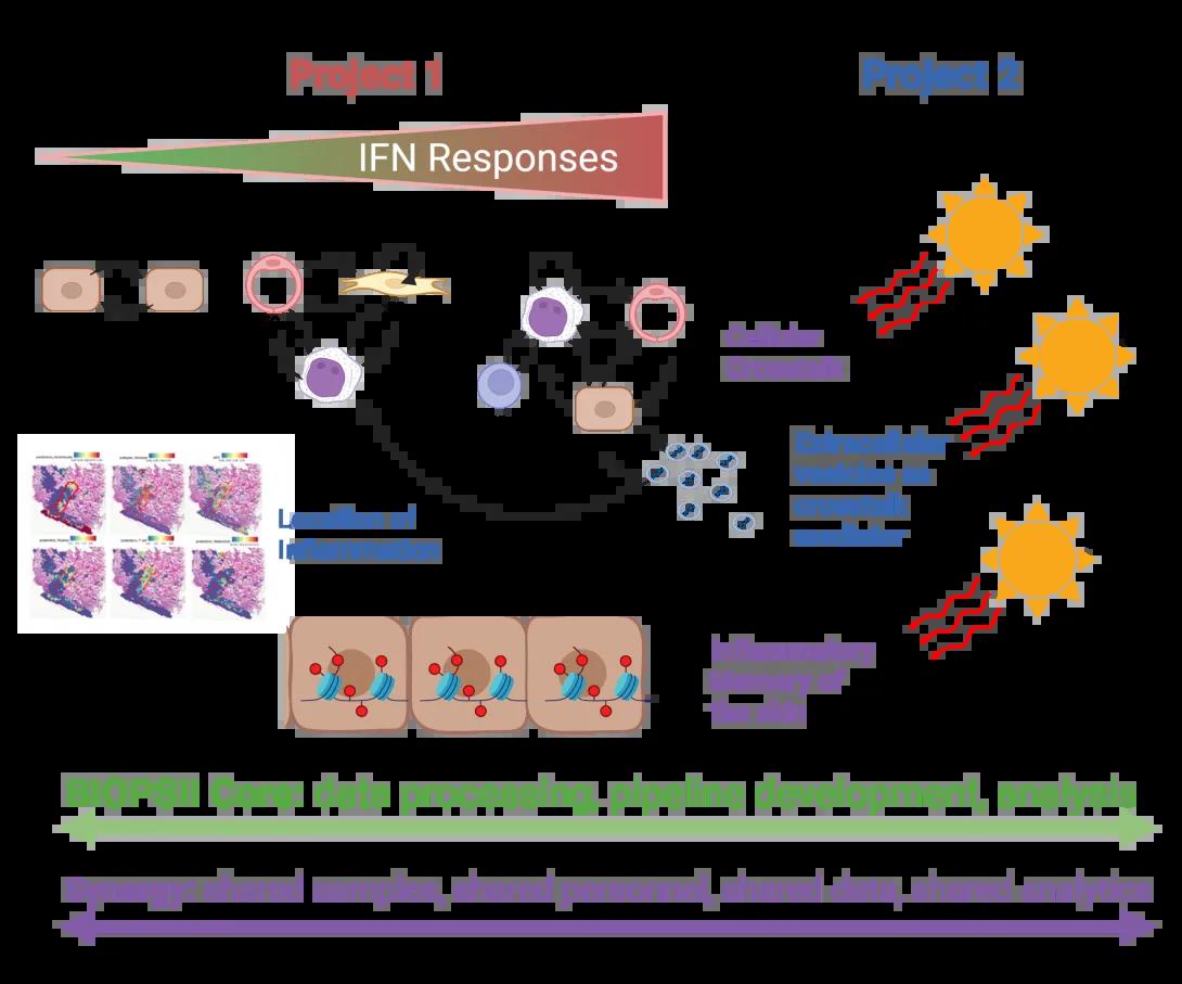 A detailed graphic showing the research projects involved with the IPCISS program