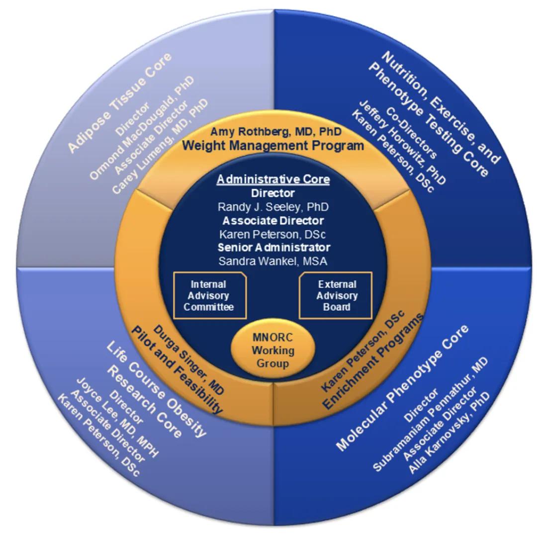 Circle showing Administrative Core Leadership at center and four quadrants for different organizational areas