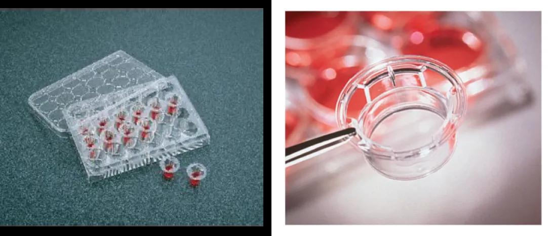 Two pictures of diabetic lab equipment