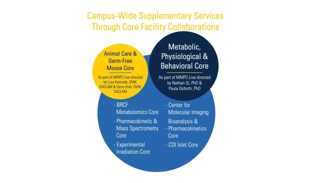 “Campus-Wide Supplementary Services Through Core Facility Collaborations” from MMPC.  The infographic shows two overlapping circles representing two major cores. The yellow circle is labeled “Animal Care & Germ-Free Mouse Core” and notes it is part of MMPC-Live, directed by Lucy Kennedy, DVM, DACLAM and Gerry Hish, DVM, DACLAM. Under this circle, three supporting cores are listed: BRCF Metabolomics Core, Pharmacokinetic & Mass Spectrometry Core, Experimental Irradiation Core,  The blue circle is labeled “Me