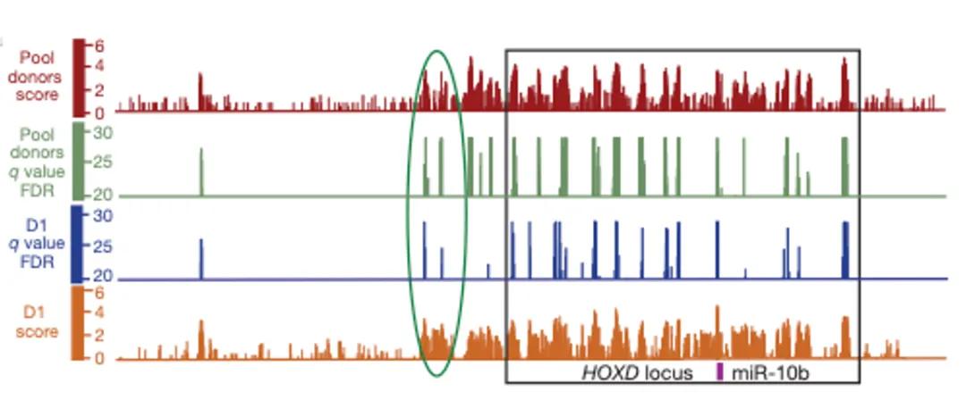 scientific figure from publication