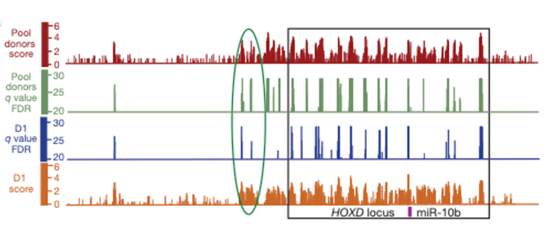 scientific figure from publication