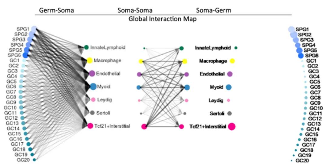 scientific figure from publication