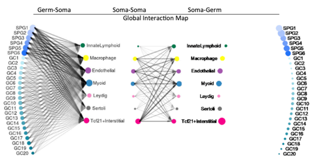 scientific figure from publication