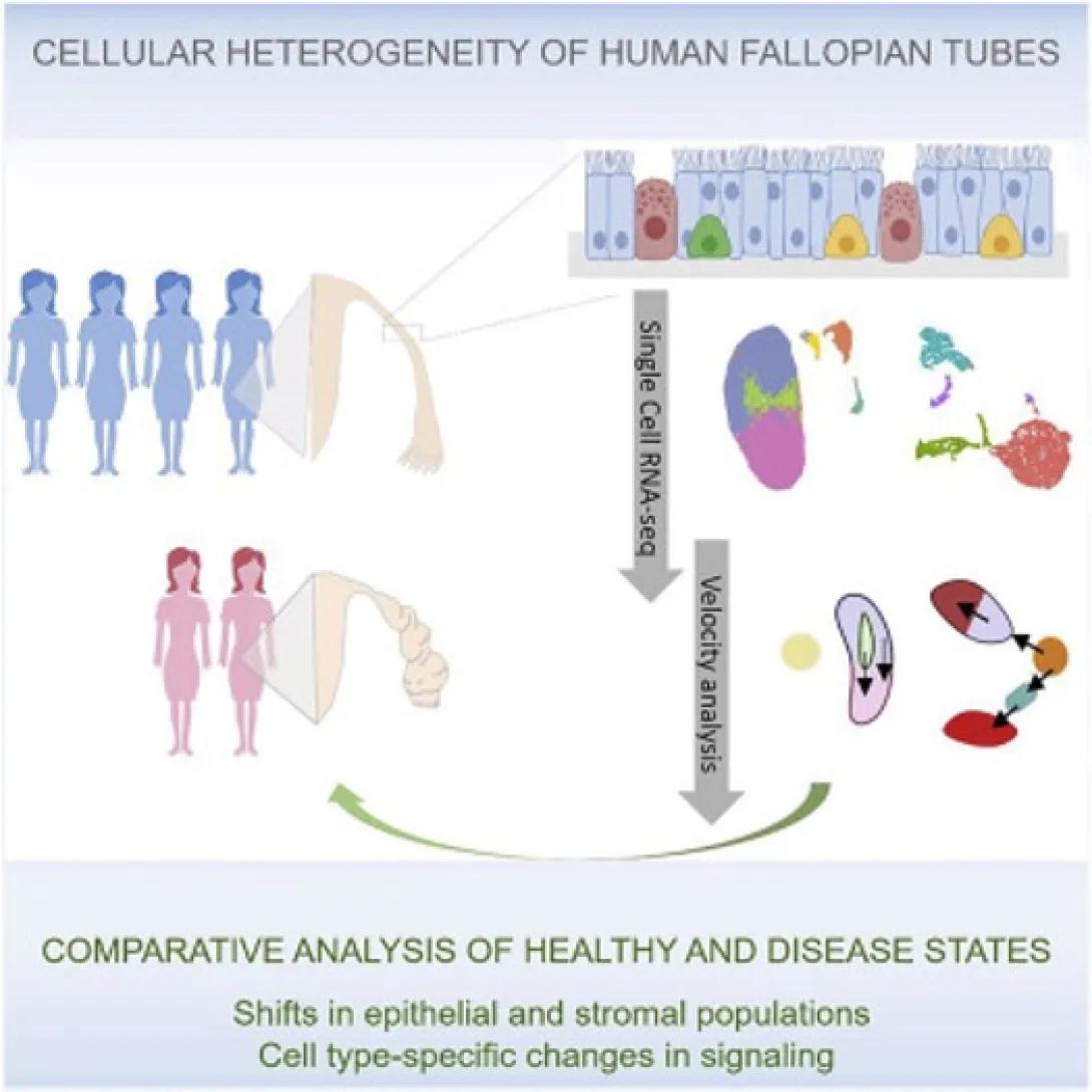 scientific figure from publication