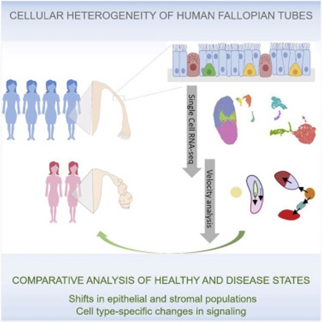 scientific figure from publication