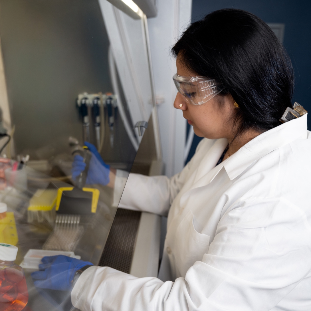 Dr. Ananya Banerjee