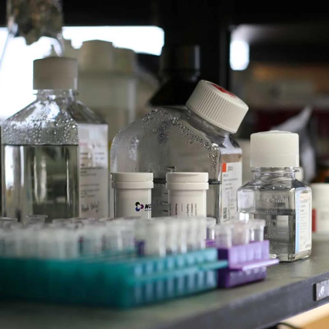 A collection of sample vials and bottles for laboratory use