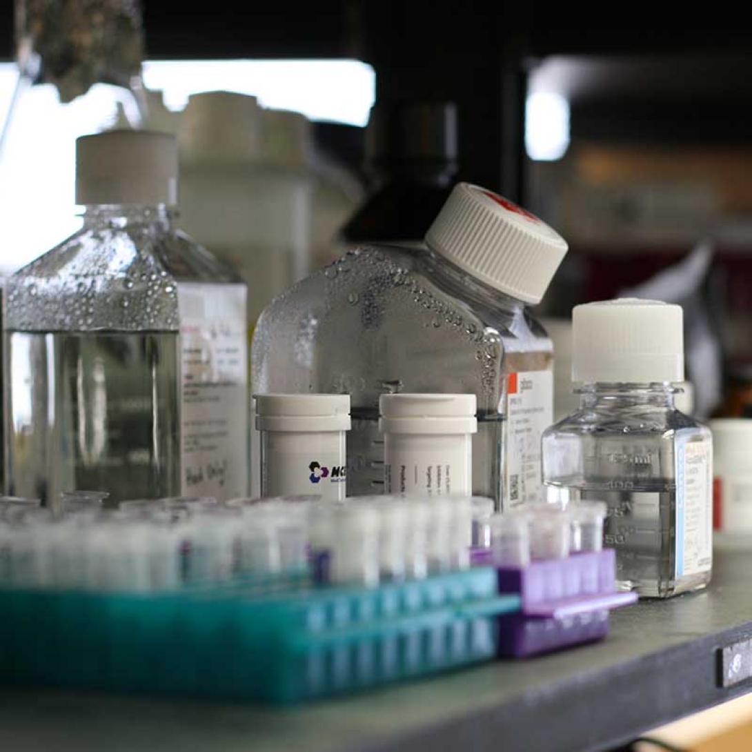 A collection of sample vials and bottles for laboratory use