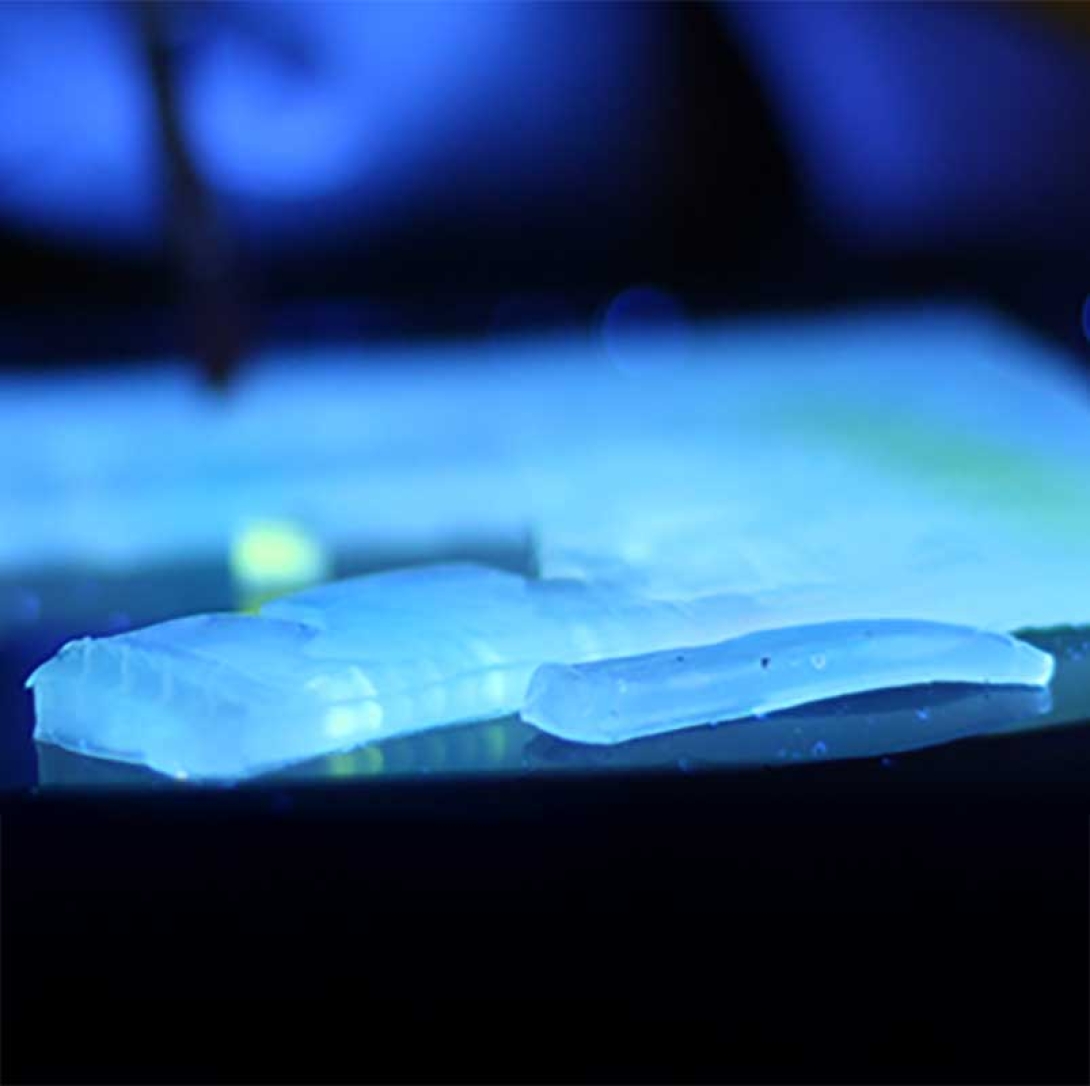 White specimen slides highlighted against a dark blue background