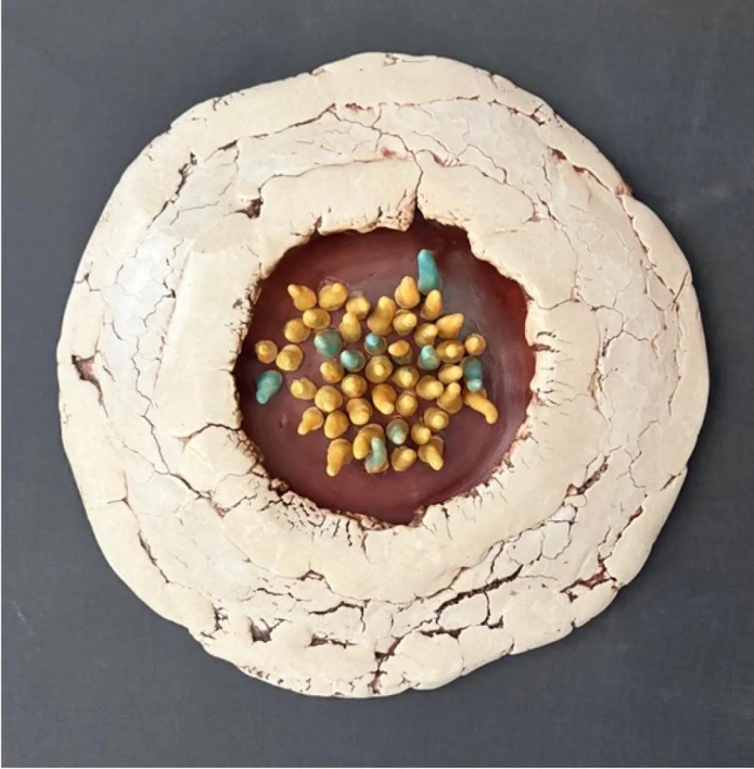 Porcelain Artwork depicting the seeds of the South African shrub Thamnosma Africanum under an electron microscope