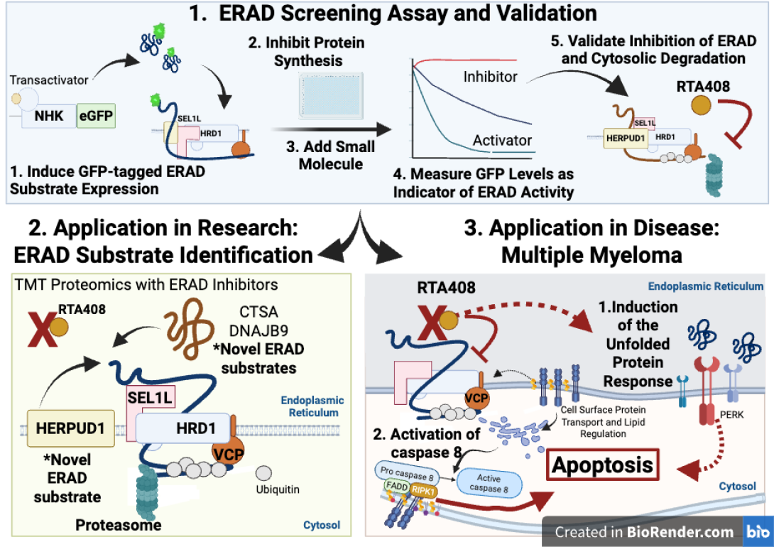 Li Lab Image