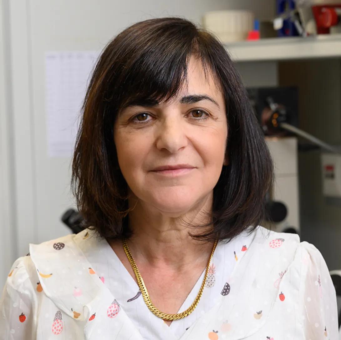 portrait of Rivka Dikstein, PhD