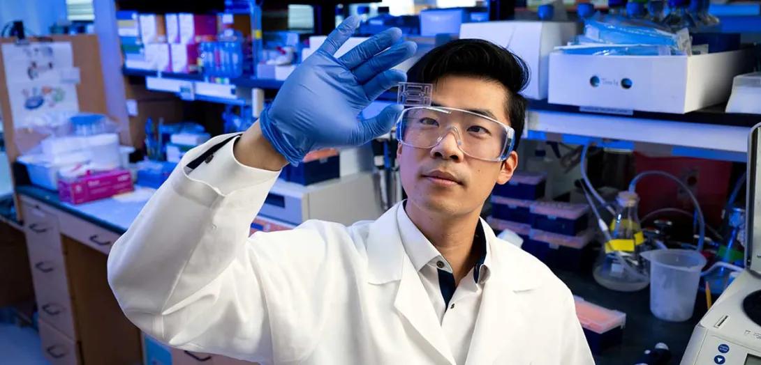 Harrison Hiraki, PhD studies a cell slide in his lab