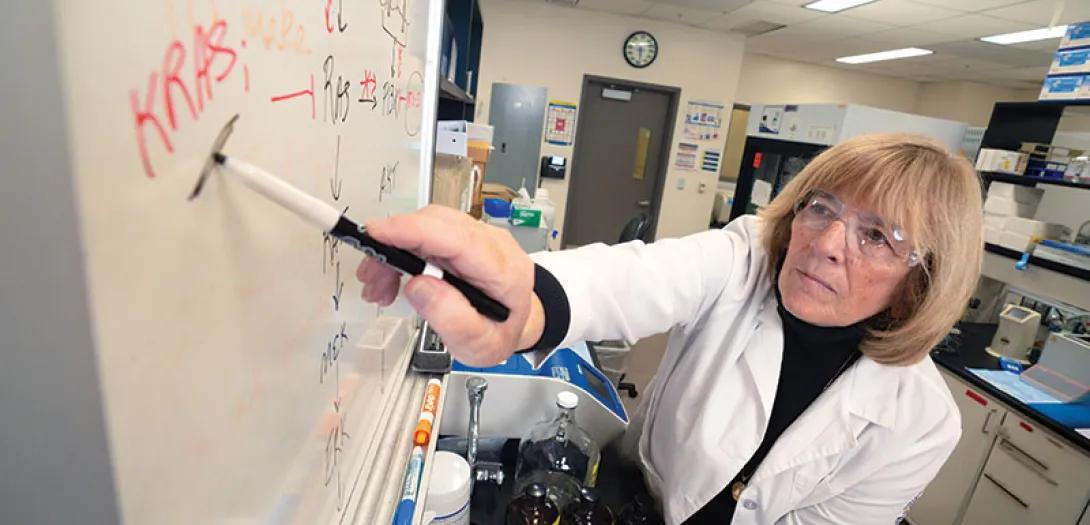 Judith Sebolt-Leopold, PhD writes on a white board in her lab