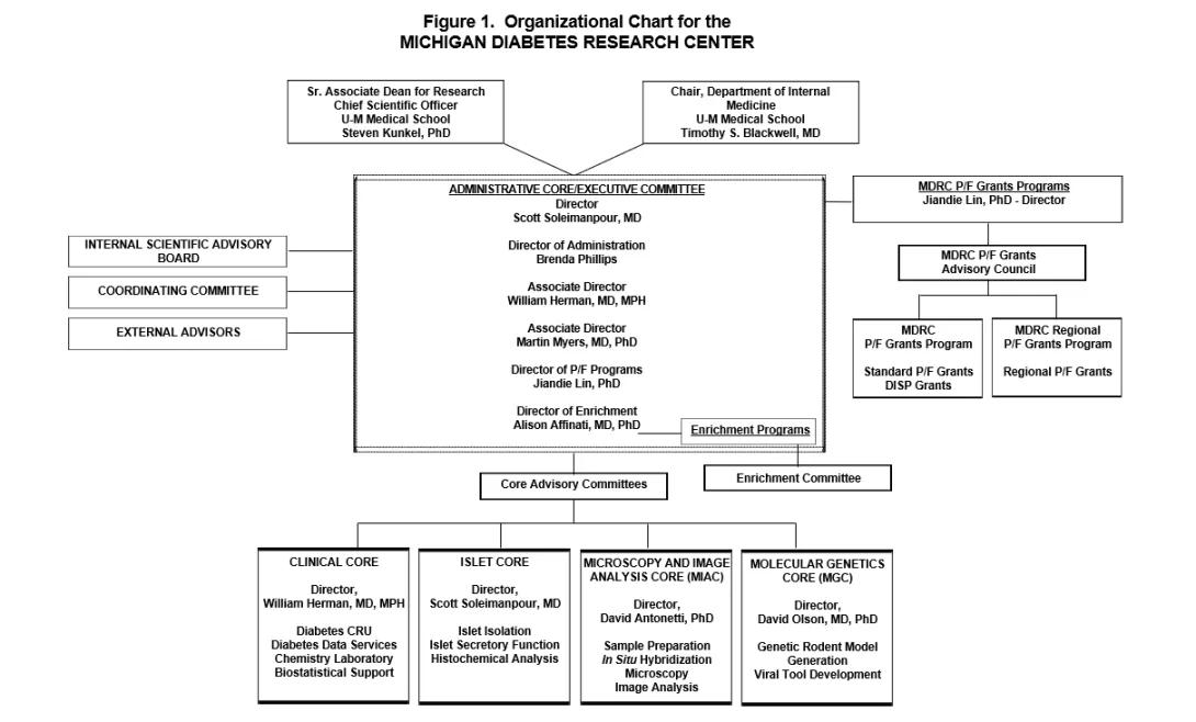 Organizational chart of the Michigan Diabetes Research Center, showing executive leadership, advisory committees, grants programs, enrichment programs, and four research cores: Clinical, Islet, Microscopy and Image Analysis, and Molecular Genetics.