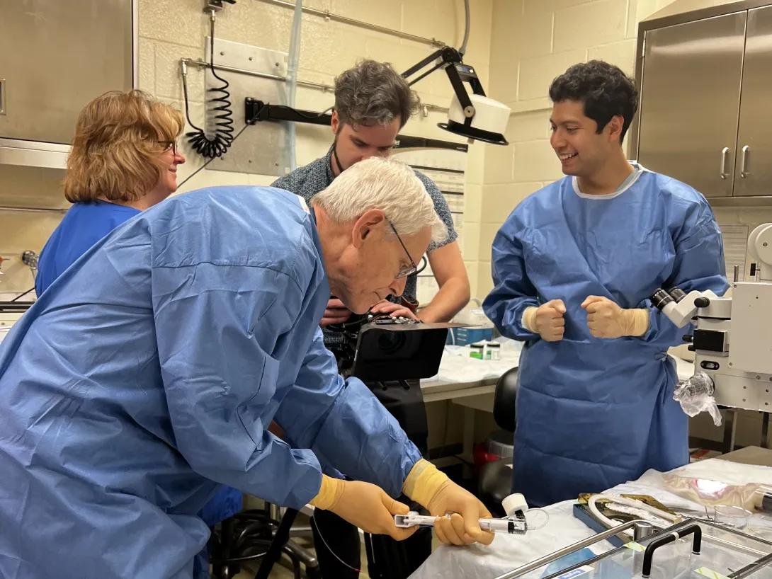 Four people in blue surgical suits performing a lab procedure.